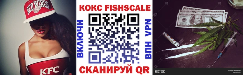 сайты даркнета Telegram  MEGA ССЫЛКА  КОКАИН Эквадор  Чкаловск  купить закладку 