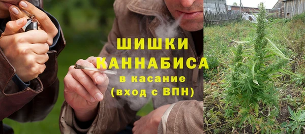 ГАЛЛЮЦИНОГЕННЫЕ ГРИБЫ Баксан