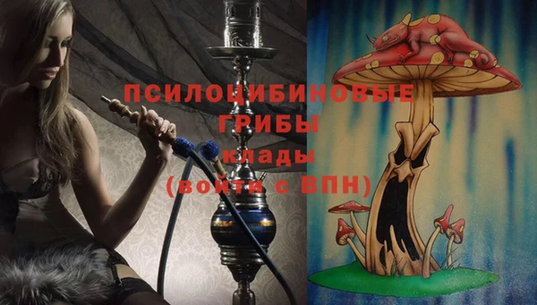 дмт Армянск