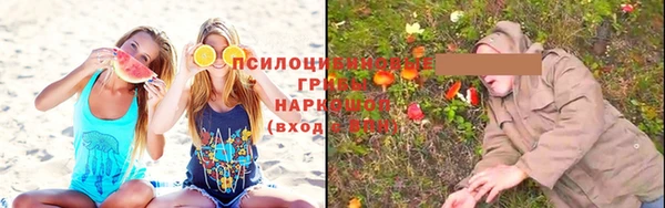 дмт Армянск