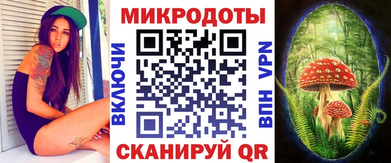 omg ТОР  Чкаловск  Псилоцибиновые грибы GOLDEN TEACHER  магазин продажи наркотиков 